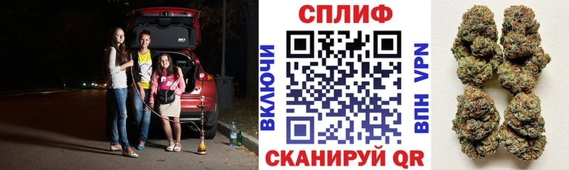 купить   Кострома  Каннабис планчик 
